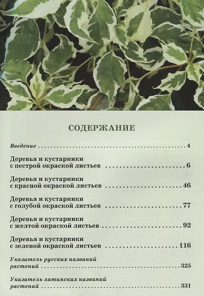 Атлас декоративных деревьев и кустарников - фото 2