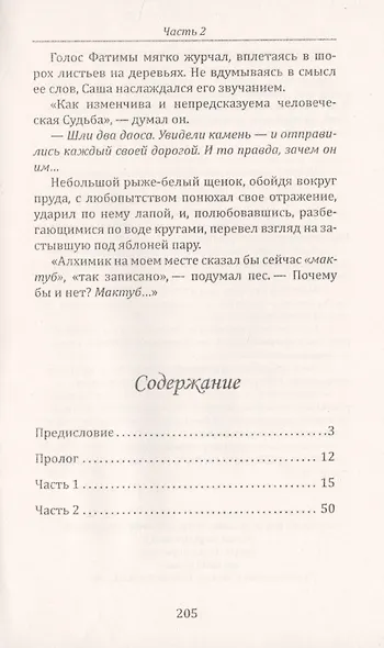 Всадник на спине ветра или о чем умолчал "Алхимик" - фото 2