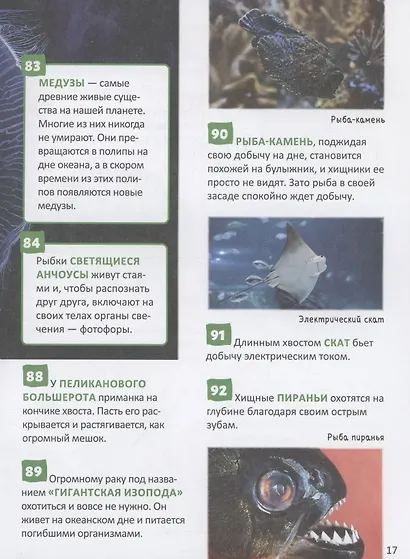 Удивительные животные. 250 фактов. Энциклопедия российского школьника - фото 4