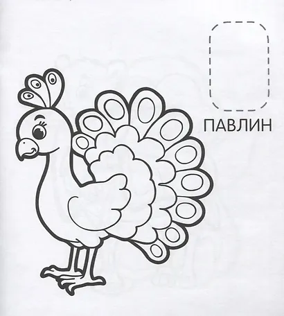 Удивительные животные - фото 4