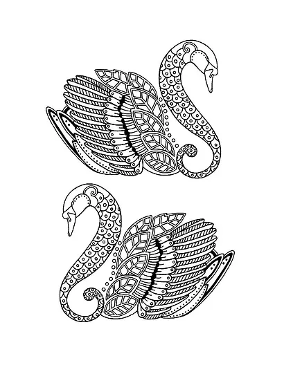 Узоры. Яркий мир природы - фото 4