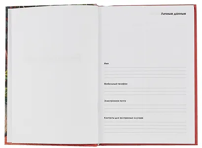 Ежедневник недат. А5 128л "Уют" 7БЦ, ламинация soft touch, офсет - фото 3