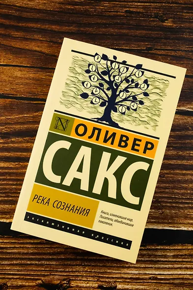 Река сознания - фото 5