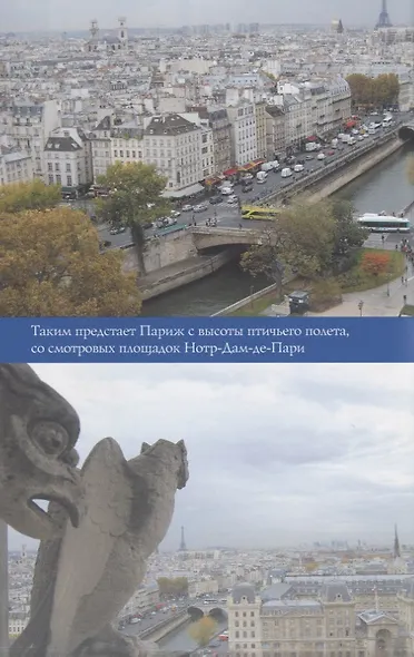 ИП м/о Париж - фото 5