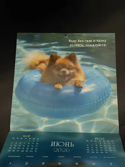 Шпицы. Календарь настенный на 2026 год (300х300) - фото 10
