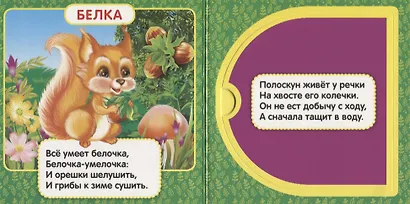 Лесные животные. (Книжка с окошками малый формат) - фото 3