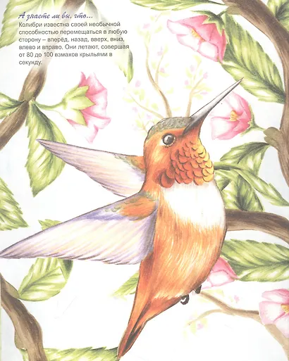 Эти разные птицы - фото 2