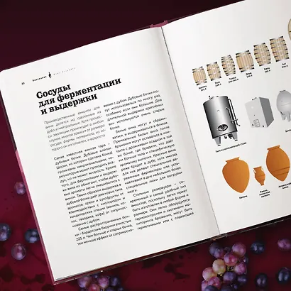 Виномания. Наглядный путеводитель по винному миру - фото 9