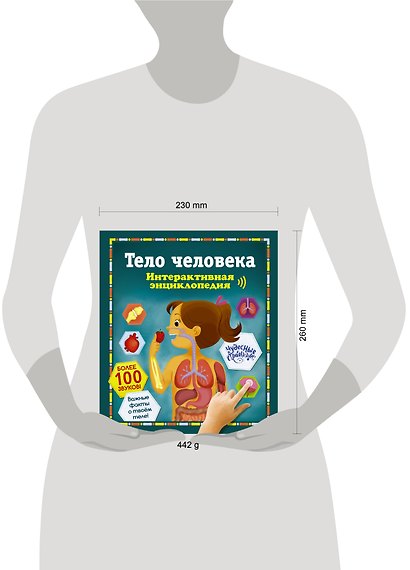 Тело человека. Интерактивная энциклопедия - фото 10
