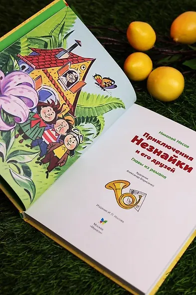 Приключения Незнайки и его друзей. Главы из романа - фото 9