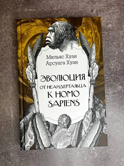 Эволюция: от неандертальца к Homo sapiens - фото 7