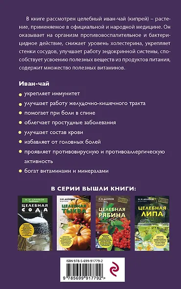 Целебный иван-чай - фото 2