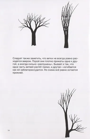 Рисуем дерево - фото 5