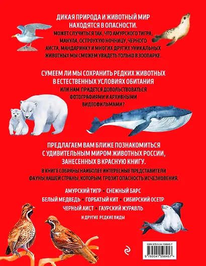 Красная книга России: животные, растения, птицы, насекомые. Энциклопедия редких видов - фото 2