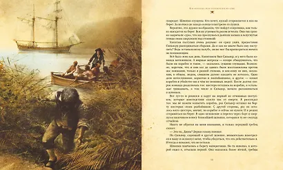 Остров сокровищ - фото 7