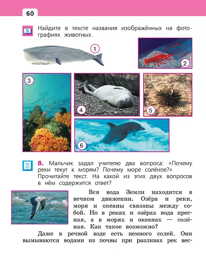 Окружающий мир. 2 класс. Учебное пособие. В двух частях. Часть 2 - фото 4