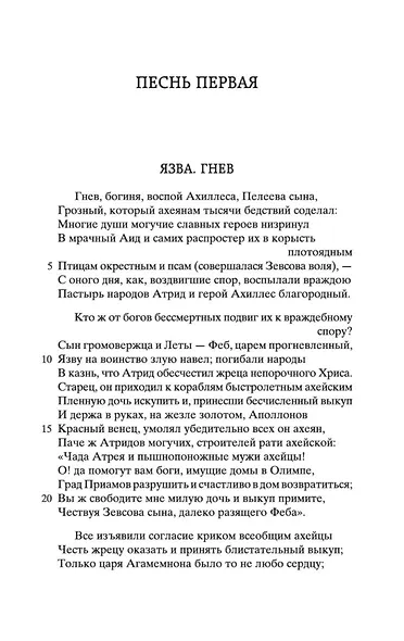 Илиада - фото 9