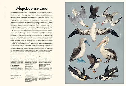 Океанариум - фото 15