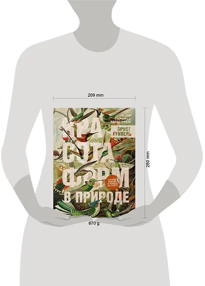 Красота форм в природе. Альбом старинных иллюстраций - фото 7