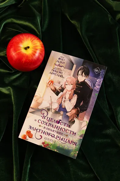 В целости и сохранности в объятиях элитного рыцаря. Книга 1 (Safe and Sound in the Arms of an Elite Knight). Ранобэ - фото 10