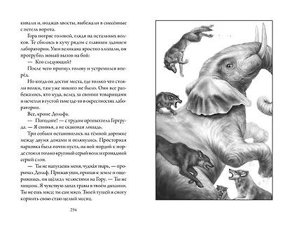 Верные. Книга 2. Тайна трёх колец - фото 9