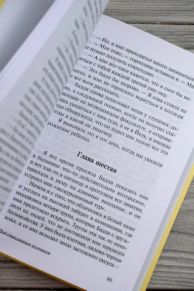 Под стеклянным колпаком - фото 8