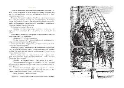 Путешествие и приключения капитана Гаттераса. Найденыш с погибшей "Цинтии" - фото 3