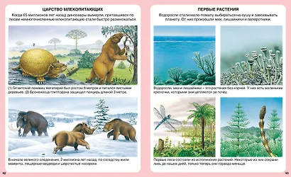 Чудесная планета - фото 5