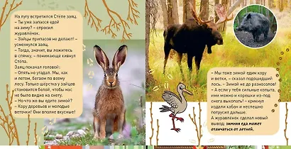 Комплект "Окошко в мир" (комплект из 5 книг) - фото 3