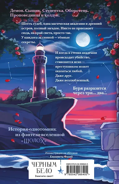 Шолох. Академия Буря - фото 2