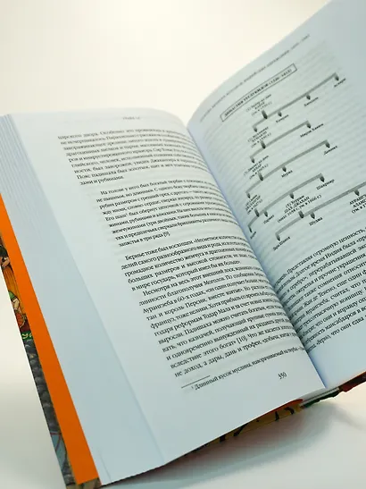 Полная история Индии - фото 7