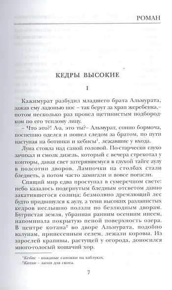Кедры высокие - фото 3