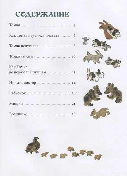 Томкины сны. Илл. автора - фото 2