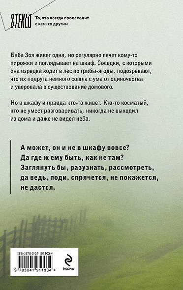 Книга с автографом: Настасья Реньжина "Бабушка сказала сидеть тихо" - фото 5