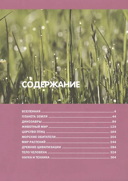Большая иллюстрированная энциклопедия для младших школьников - фото 2