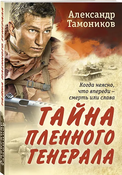 Тайна пленного генерала - фото 3