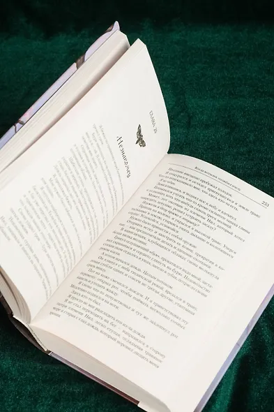 Когда мотылек полюбил пчелу - фото 14