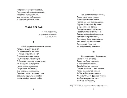 Евгений Онегин (ил. Е. Самокиш-Судковской) - фото 4