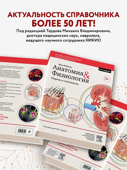 Анатомия и физиология. Нормы и патологии - фото 6