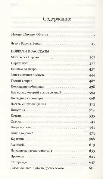 «Лето в Бадене» и другие сочинения: Роман, повести, рассказы - фото 2
