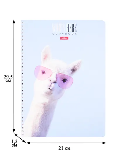 Тетрадь в клетку Hatber, "Кто здесь?", А4, 96 листов, в ассортименте - фото 3