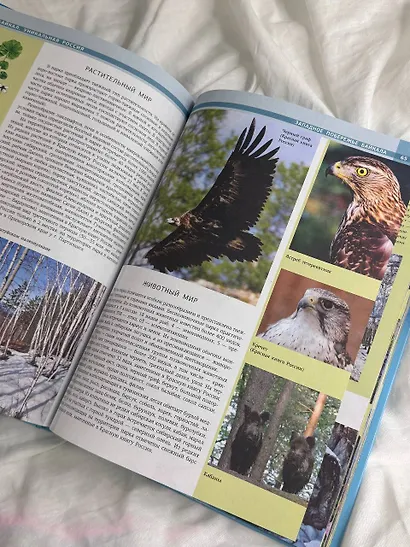 Байкал. Уникальная Россия - фото 9