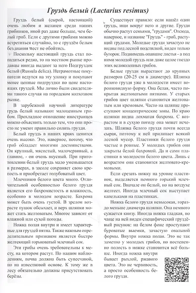 Грибы в Вологодской области. Справочник. Том 1 - фото 3