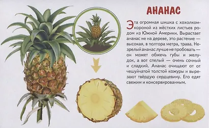 Фрукты. Обучающие карточки - фото 5