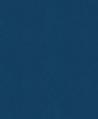 История России. 1304–1560 г. - фото 2