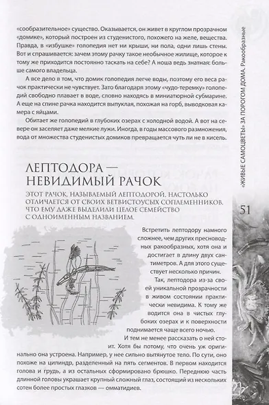 "Живые самоцветы" за порогом дома - фото 9