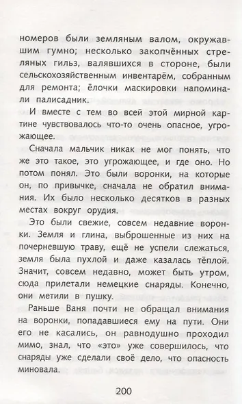 Сын полка - фото 5