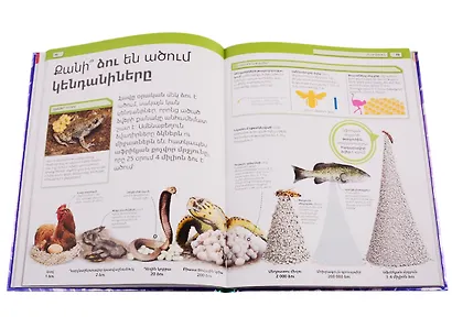 Энциклопедия невероятных фактов 2 (на армянском языке) - фото 9