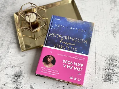 Комплект из двух книг Меган Брэнди: Неприятности в старшей школе + Парни из старшей школы (комплект из 2 книг) - фото 6