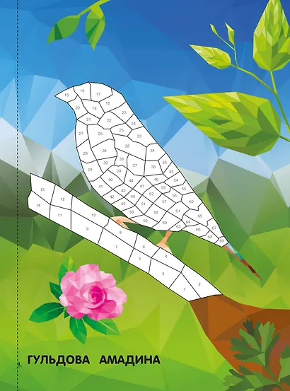 Птицы и подводный мир - фото 6